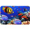 SMAZDFXX Tappetino da bagno in terra di diatomee con stampa a motivo di pesce di mare,antiscivolo,super assorbente ad asciugatura rapida per cucina, 19,7 x 31,5 pollici