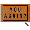 MsMr Zerbino per ingresso, divertente zerbino - You Again progettato per interni decorativi in tessuto non tessuto, 40 x 70 cm