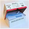 Pigna Envelopes Busta Pigna Commerciale con Finestra con Strip, 110X230 Pigna Scatola 500 Buste, Multicolore