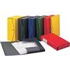Rexel 00025006 Project 15 Scatola Archivio Dorso, 15 cm, Giallo