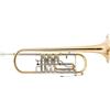 Classic Cantabile TR-43G Tromba da Concerto in Bb Ottone Dorato, Foro: 11