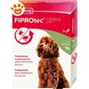 Beaphar Dog Fiprotec Spot-On Taglia Grande (20-40Kg) - Confezione Da 3 Pipette