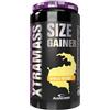 Anderson Professional Sport Supplements Anderson Research IAF00086993 Xtra Mass Size Gainer, 1100 g, Vaniglia