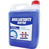 rea 1 Taniche da 5 Litri Brillantante Lavastoviglie - AMUCHINA