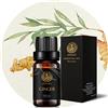 Aphrosmile 100% puro Ginger profumato olio per diffusore, 0,33oz-10ml Aromaterapia Zenzero olio essenziale per umidificatore, terapeutico Grade Zenzero olio essenziale fragranza per massaggi, casa