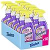 Fabuloso Spray Universale Lavanda - Pacco da 10 x 600 ml - Totale: 6000 ml, 6000 millilitro, 10