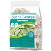 RASPIO Tisana alle Foglie di Senna - 30 Bustine Singolarmente Confezionate (1,5g Ciascuna), Ingredienti Naturali a Base di Piante, Promuove il transito intestinale e la pulizia del colon