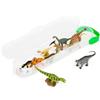 Collecta - Dinobox Mini Dinosauri 2 Pack 10 Un. R.-S-.A1102 (901A1102)