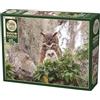 Cobble Hill Great Horned Owl