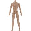 Syglawnd Corpo di action figure, action figure in scala 1/6, corpo muscolare maschile mobile multisnodato per collezione di bambole da esposizione, medio