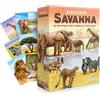 Genius Games Ecosystem: Savanna - A Family Card Game About Animals on Grassy Woodland of African Savanna - Fun & Educational Ecology Game for Kids & Adults - Strategy Board Game for Gamers, Students & Teachers