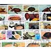 Prophila Collection Motivazioni 50 Diversi Turtles Francobolli (Francobolli per i Collezionisti) Anfibi/rettili/Dinosauro