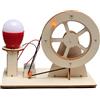 Generico Giocattolo generatore di elettricità - Kit di esperimenti scientifici con lampadine - Esperimenti e progetti scientifici con lampadine, Kit di scienze educative divertenti in legno per classe, scuola,