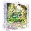 TCG Cases Scatola di protezione fai da te compatibile con Pokemon giapponese Display Booster Box plexi Custodia in acrilico
