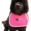 DoggiesWorld Pettorina personalizzata per cani - comoda, regolabile e impermeabile - filo multicolore