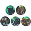 Ergobag set di 5 Kletties Jungle
