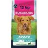 EUKANUBA Cibo secco per Cani con agnello e riso per razze di taglia grande - Alimento secco premium per Cani adulti, 12 kg