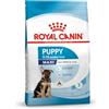 Royal Canin Alimento Cane Maxi Junior - 15000 gr