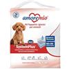 Amore Mio | 40 Tappetini Igienici Extra Large per Cani, Gatti e Animali Domestici, Super Assorbenti - 4 Confezioni da 10 Traversine Cani 60x90 cm, Made in Italy
