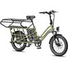 Fafrees Bicicletta elettrica Fafrees FF20 CUV, 12 Ah x 2 batterie, 250 W 1 St
