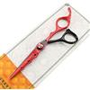 JIESENYU Set di forbici professionali da parrucchiere da 15,2 cm, forbici da parrucchiere, forbici da parrucchiere, forbici e pettini