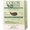 Colorerbe Tintura COLOR ERBE Bio Biondo Scuro (6.0)