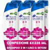 Head & Shoulders Antiforfora Shampoo e Balsamo 2in1 Lisci e Setosi, per Capelli Secchi, Fino Protezione da Forfora per Cute e Capelli, Clinicamente Provato, 225ml x6