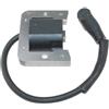 RLFNPHMHX Modulo accensione digitale Magneto for K/o/h/l/e//r CH1006 6258467-S