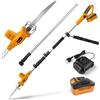 TOOLMAK Motosega a Batteria 20V 4,0Ah con Asta Telescopica 3m da Giardino