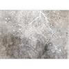 murando Carta da parati Astratto 500x350 cm Fotomurali in TNT Murale alla moda Decorazione da Muro XXL Poster Gigante Design Carta per Pareti Soggiorno Alberi Natura bianco grigio b-C-0826-a-a