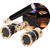 Generic Binocolo per Opera 3x25 con Manico e Catena | Pezzo da Collezione per Teatro e Corse | Compatto e Leggero per Concerti, Opera, Cosplay e Party a Tema(Black2)