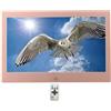 BAIYUN Cornice for foto digitale da 12 pollici, cornice for foto in metallo può essere collegata a una cornice for foto elettronica USB o SD, display ad alta definizione con telecomando, supporto for video e