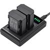 Andoer Caricabatterie NP-FZ100 con indicatori LED + 2 batterie NP-FZ100 da 7,2 V 2280 mAh con cavo di ricarica USB di ricambio per Sony A9/ A7R III/ A7 III/ A6600