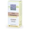 FARMADERBE Srl Lavanda Olio Essenziale Farmaderbe 10ml