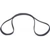 BOSCH Cinghia Poly-V 1987948401