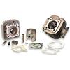 Malossi KIT GRUPPO TERMICO MBK BOOSTER YAMAHA MINARELLI VERTICALE MALOSSI 317237 IN GHISA D.47