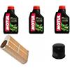 MIM Distribution KIT TAGLIANDO OLIO E FILTRI PER HORNET 600 2009 2010 2011 2012 2013 / CBF 600 S - F - N 2008 2009 2010