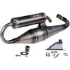 GIANNELLI Marmitta Giannelli Shot V4 omologata Nitro/Aerox/SR 50/F10/F12/Mach G/Jog/Neos/Ovetto