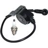 ICOOYO Bobina di accensione per Oleo-Mac 970 971 980 980TTA Efco 170 171 180 TT180 09800036BR 50020007BR