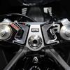 labelbike Adesivo 3D Moto Piastra Forcella Compatibile con Aprilia | RS 660 Extrema 2023-2024, Sterzo Protezione in Resina, Antigraffio, Decorazione, Carbonio Nero, Made in Italy