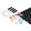 RIDEX 2420M0021 Kit montaggio turbocompressore con guarnizioni con bulloni/viti Compatibilità con FORD Fiesta Mk6 Hatchback JA8, JR8