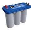 Optima Blue Top Batteria BT DCM 5.5 (8052-188) (BCI D31M) BTDCM5.5 AGM