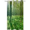 Hiseng Tende per Gazebo Impermeabile 1 Pezzi Tende da Esterno con Anelli, 3D Stampa di Foresta Tenda da Esterno Oscurante per Balcone Giardino Terrazzo Veranda e Finestre (132x182cm,Erba)