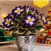 CUIKWA Rosa del Deserto Rara/Perenne Resistente/Tubero di Rosa del Deserto/Rara/Bassa Manutenzione/Decorazione d'Interni-1 Rizoma-I