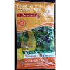 adama TEMO-O-CID Colortrap + feromoni mosca olivo Bactrocera Oleae