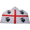 AZ FLAG Bandiera Sardegna 150 x 90 cm - Mantello Bandiera Sarda - Italia 100% poliestere con maniche integrate - Body Flag