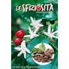 MONDONATURA SRL Semi Pianta del Caffè 2 Buste,Mondonatura Srl