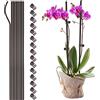 NLDGR 10 Pali di Supporto per Piante con 15 Clip per Piante, Pali per Fiori a Stelo Singolo Alti 61 cm Bastoncini per Piante Pieghevoli per Piante da Interno Clip e Pali per Orchidee