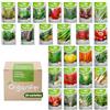 Organifer Pacchetti Di Semi Di Ortaggi - Semi Di Ortaggi - Semi Di Pomodoro - Semi Di Cetriolo - Semi Di Peperone - Semi Di Fragola - 25 Varietà Culinarie - Organifer