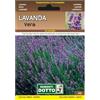 Sicignano Casalinghi Ingrosso Casalinghi Sicignano | Semi Lavanda Vera - Pianta Perenne con Fiori Violacei, Busta Extra - 6 Confezioni da 0.6g, Raccolta Estate